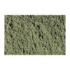 T46 - Fine Turf: Weeds