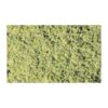 F51 - Foliage: Light Green