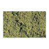 F52 - Foliage: Medium Green