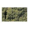 FC57 - Foliage Cluster: Light Green