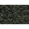 FC139 - Underbush - Forest Blend