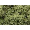 L161 - Lichen: Spring Green