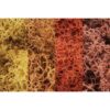 L165 - Lichen: Autumn Mix