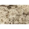 L166 - Lichen: Natural