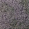 F177 - Flowering Foliage: Purple