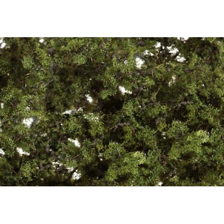 images F1131 - Fine-leaf Foliage: Medium Green