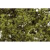F1132 - Fine-leaf Foliage: Light Green