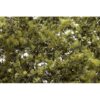 F1133 - Fine-Leaf Foliage: Olive Green